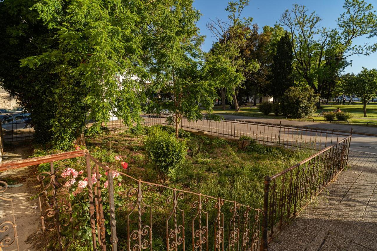 Appartement Goga Nova *